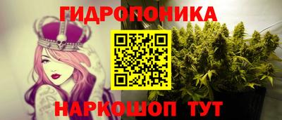 PSILOCYBIN Бийск