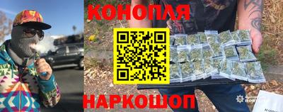 PSILOCYBIN Бийск