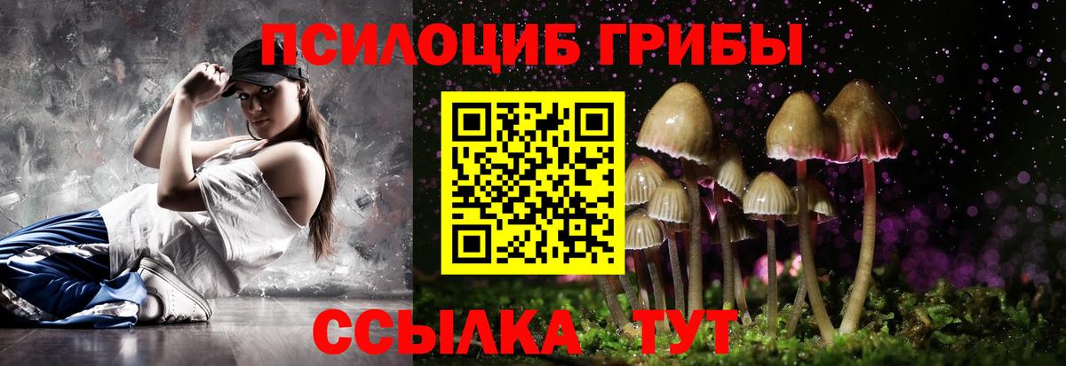 Галлюциногенные грибы Magic Shrooms Звенигород